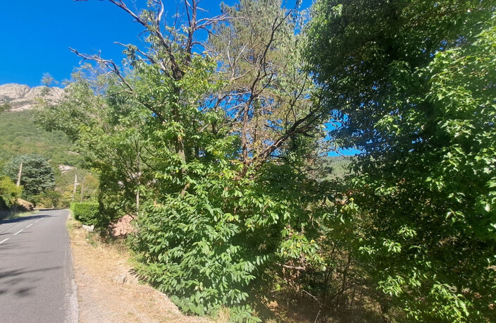 Terrain constructible à vendre   Vialas (3133 m2) — photo 3