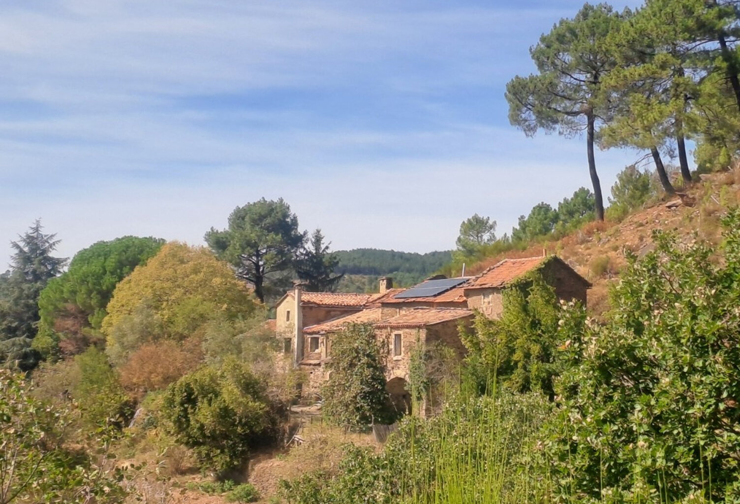 Mas cévenol en pierre au cœur de la nature — photo 1