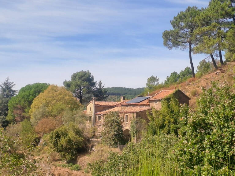 Mas cévenol en pierre au cœur de la nature — photo 1
