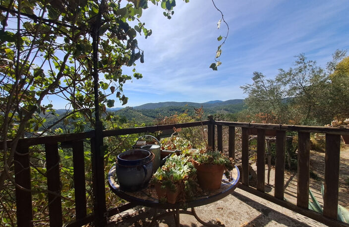 Mas cévenol en pierre au cœur de la nature — photo 3