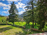 Lot : maison de 3 appartements et terrain constructible de 7000 m2 — photo 3