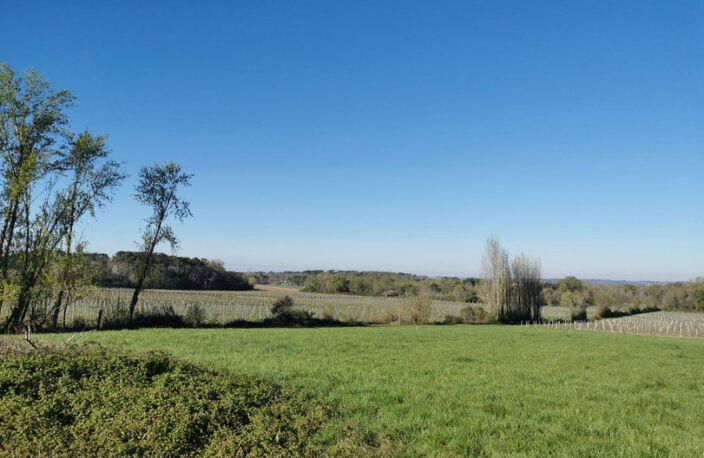 Maison à construire à Porte-de-Benauge (33760) — photo 5