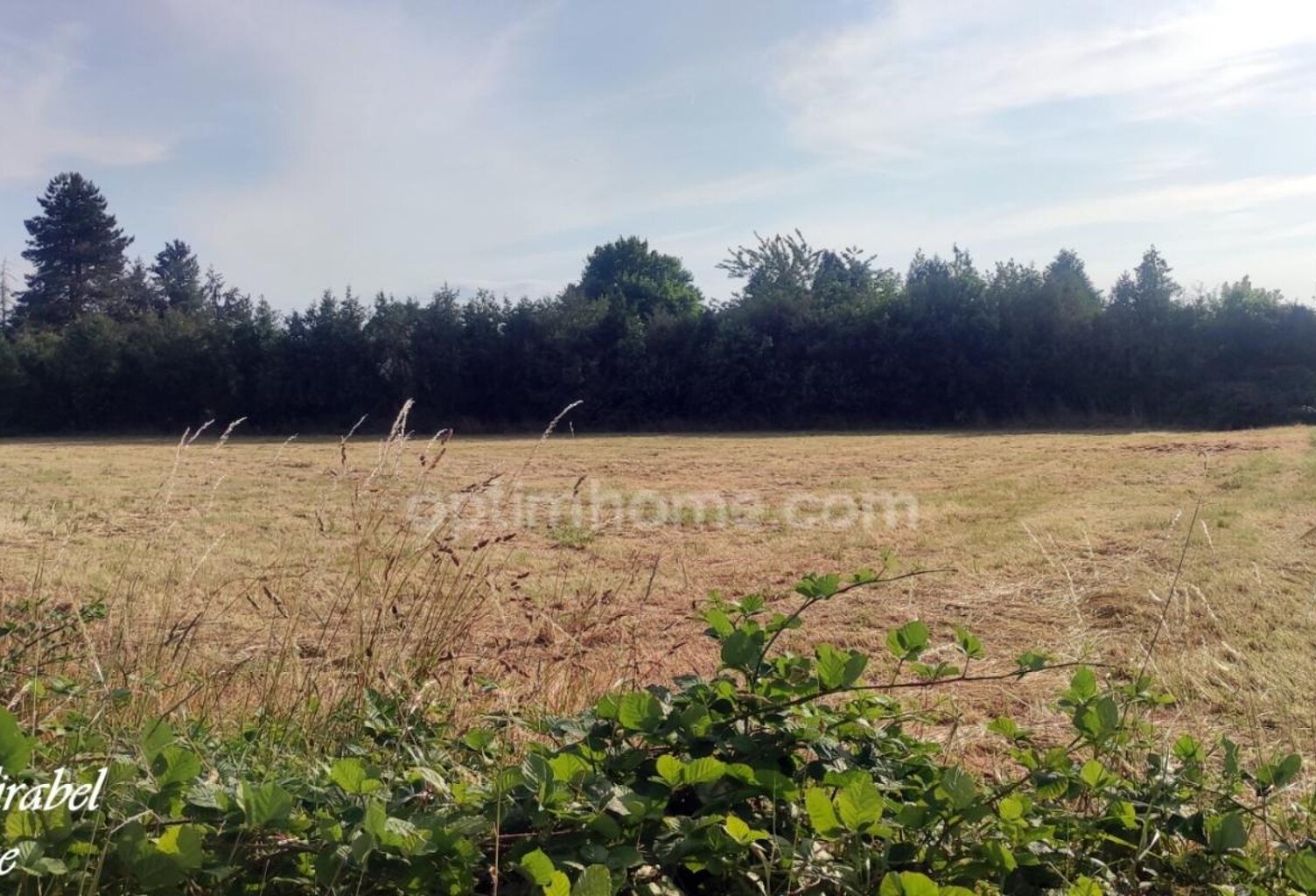 Terrain à vendre de 3 284,00 m² GOUVILLE (27) — photo 1
