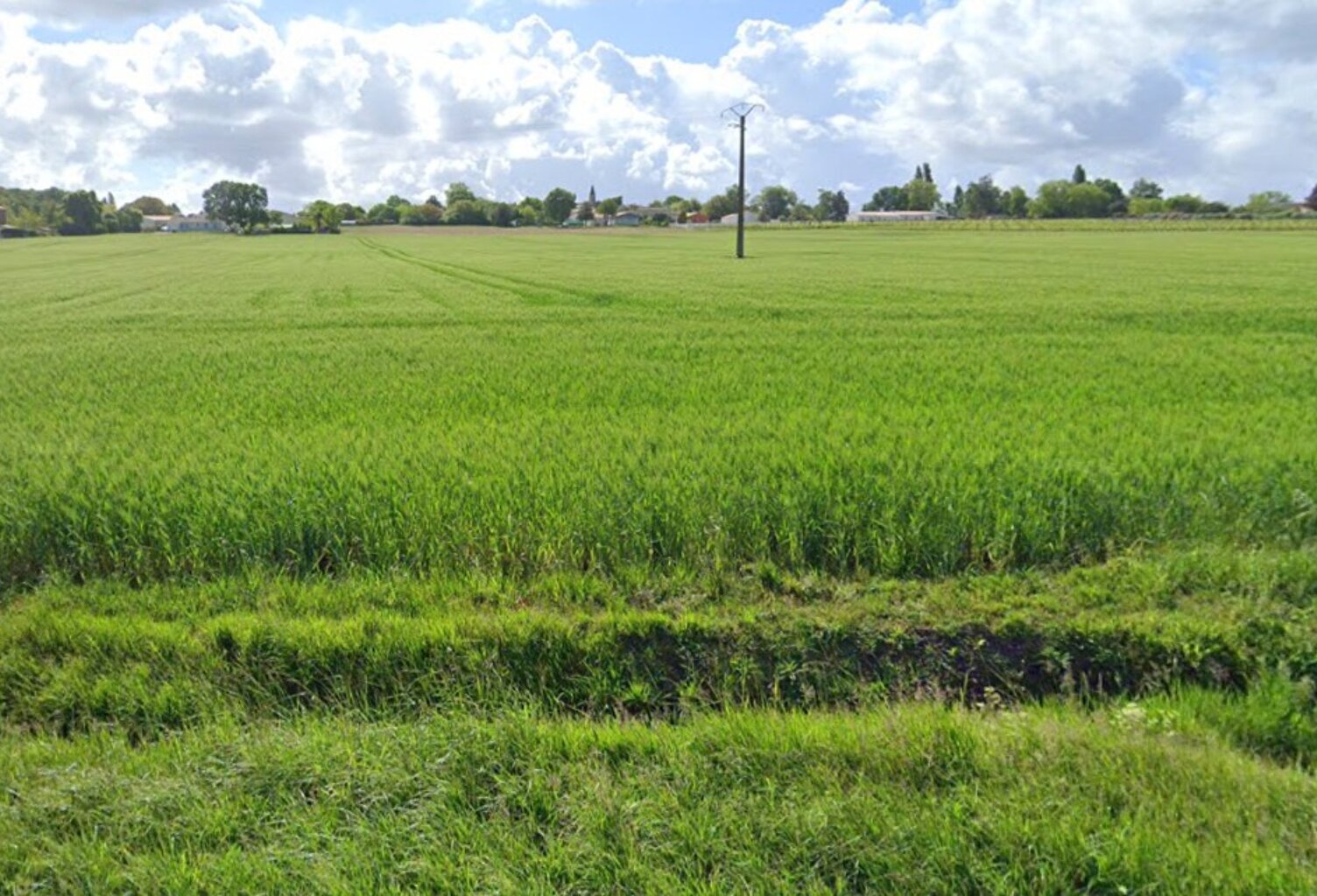 Terrain à bâtir à Grézac (17120) — photo 1