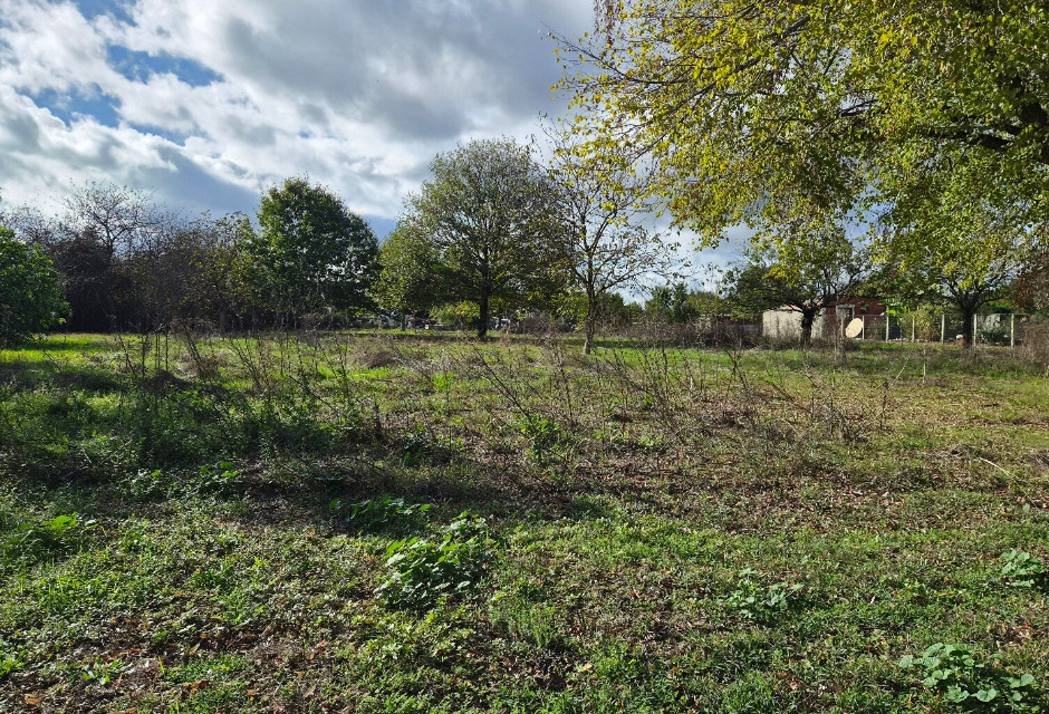 Terrain à bâtir à Porchères (33660) — photo 1