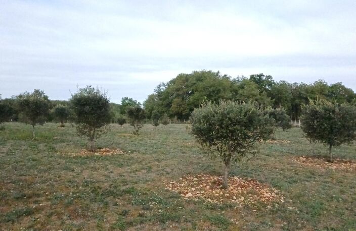 Propriete à vendre 6 pièces GABILLOU (24) — photo 4