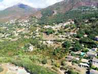 PATRIMONIO – Propriété de charme avec 5 logements, piscine et terrain de 1 440 m² — photo 2