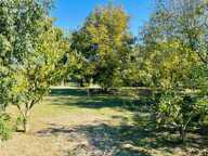 Terrain à vendre * Au bord de la Vienne * Un Véritable Havre de Paix * Terrain Arboré de 1 269 m²  CHAUVIGNY (86) — photo 2