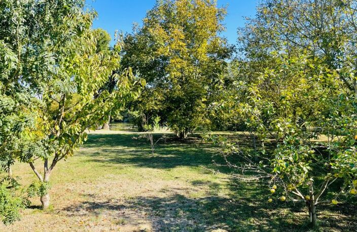 Terrain à vendre * Au bord de la Vienne * Un Véritable Havre de Paix * Terrain Arboré de 1 269 m²  CHAUVIGNY (86) — photo 2
