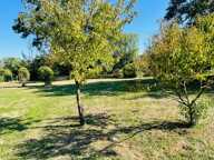 Terrain à vendre * Au bord de la Vienne * Un Véritable Havre de Paix * Terrain Arboré de 1 269 m²  CHAUVIGNY (86) — photo 3