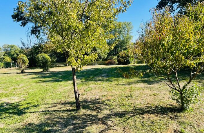 Terrain à vendre * Au bord de la Vienne * Un Véritable Havre de Paix * Terrain Arboré de 1 269 m²  CHAUVIGNY (86) — photo 3