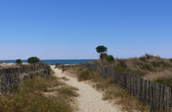 RARISIME - Vue Mer 1ère ligne BOUCANET — photo 3