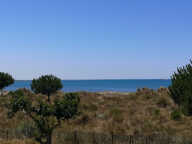 RARISIME - Vue Mer 1ère ligne BOUCANET — photo 4