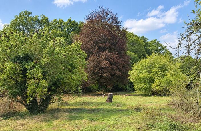 BOIS LE ROI (27) - Terrain à bâtir - 1237m² — photo 5