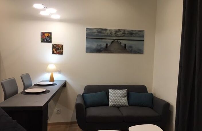 Appartement de 32m2 à louer sur Oullins — photo 2