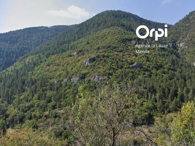 Terrain proposé à Massegros Causses Gorges
