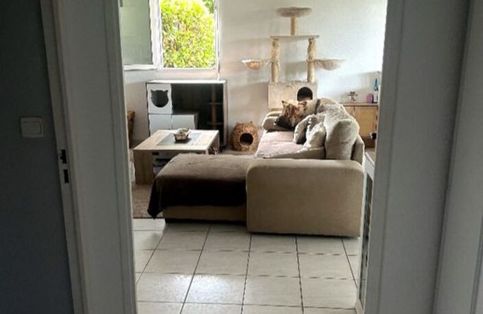 Appartement de 49m2 à louer sur Entraigues-sur-la-Sorgue — photo 3