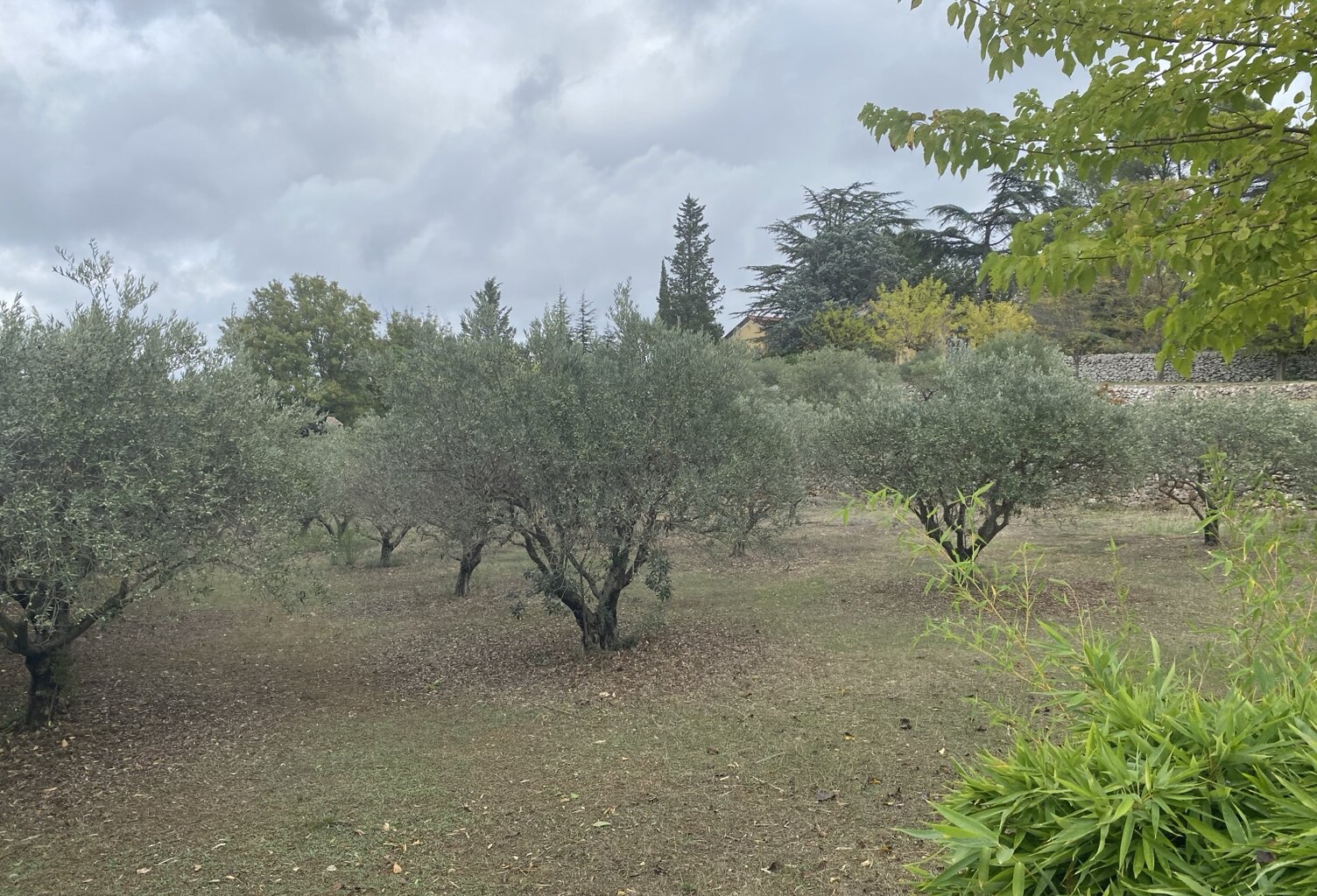 Vente terrain à construire 1200 m² Saint-Maximin-la-Sainte-Baume (83470) — photo 1