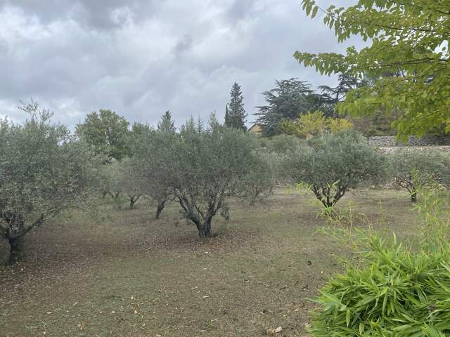 Terrain 1200 m² à Saint-Maximin-la-Sainte-Baume — photo du bien