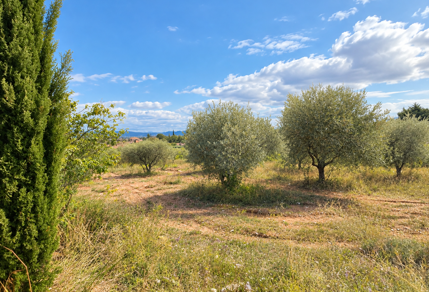 Vente terrain à construire 1200 m² Saint-Maximin-la-Sainte-Baume (83470) — photo 1