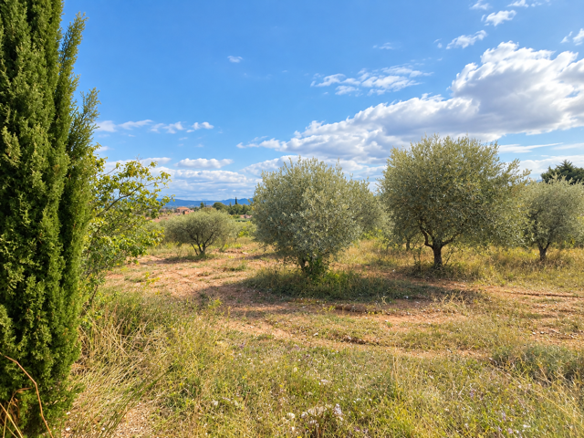 Terrain 1200 m² à Saint-Maximin-la-Sainte-Baume — photo du bien