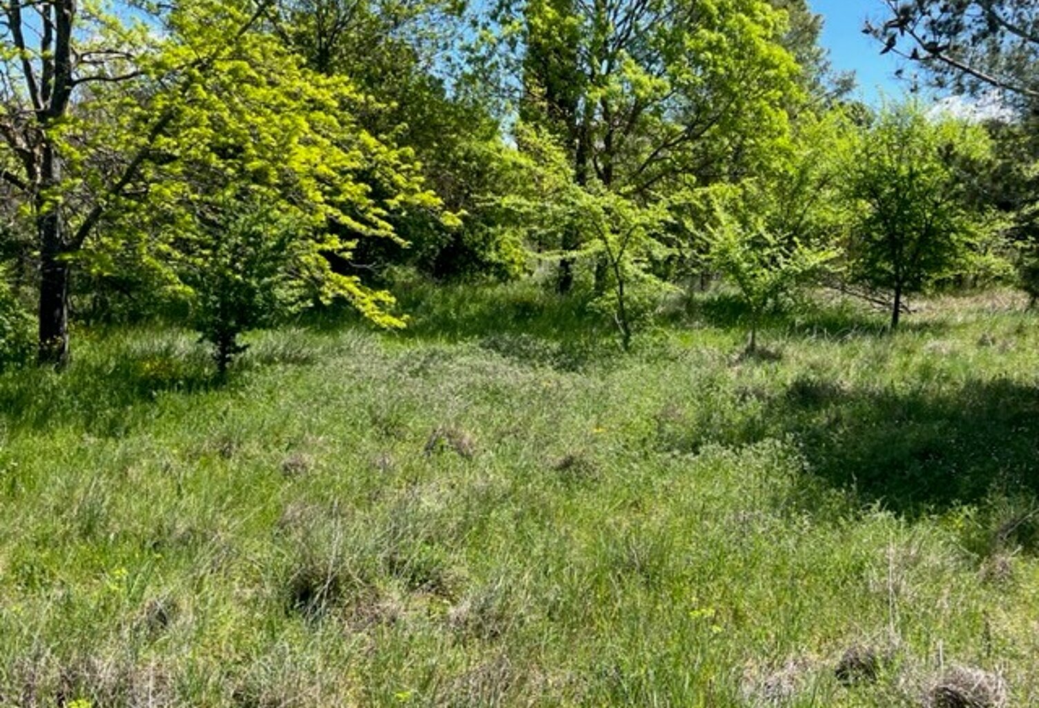 Vente terrain à construire 400 m² Le Puy-Sainte-Réparade (13610) — photo 1