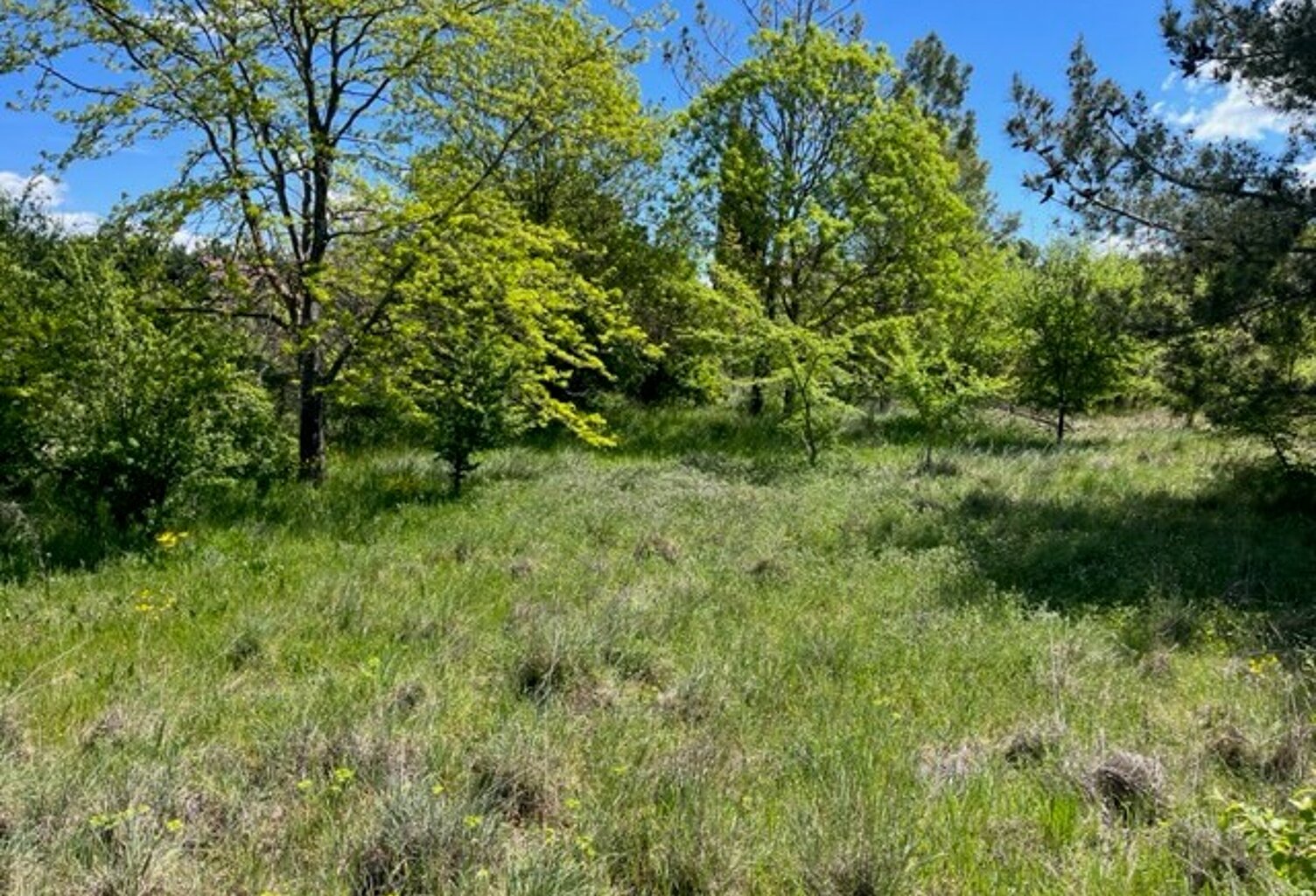 Vente maison à construire 85 m² Le Puy-Sainte-Réparade (13610) — photo 1