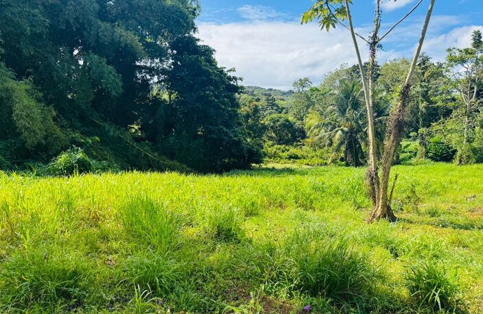 Terrain à vendre de 1 866,00 m² DUCOS (972) QUARTIER GRANDE SAVANE — photo 2