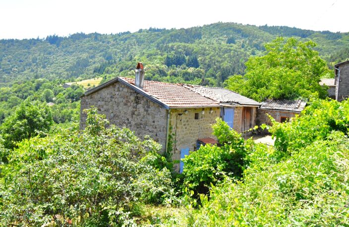 Petite ferme en pierres avec terrain SAINT-JULIEN-D'INTRES (07) — photo 2