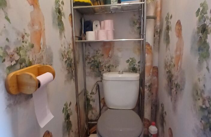 Maison à vendre 4 pièces SOUGY SUR LOIRE (58) — photo 3