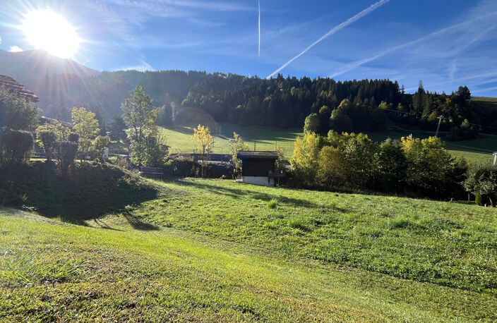 Rare à la vente : Terrain à bâtir d'exception à La Clusaz (74220) — photo 2