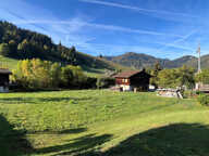 Rare à la vente : Terrain à bâtir d'exception à La Clusaz (74220) — photo 3