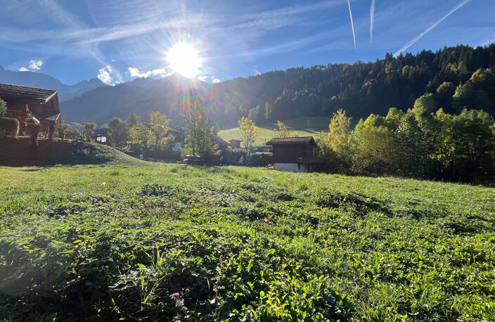 Rare à la vente : Terrain à bâtir d'exception à La Clusaz (74220) — photo 5
