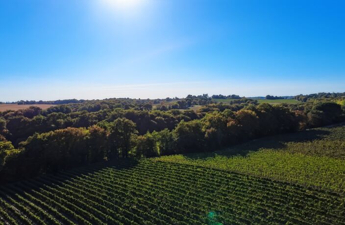 8,5 hectares de bois PARLEBOSCQ (40) — photo 2