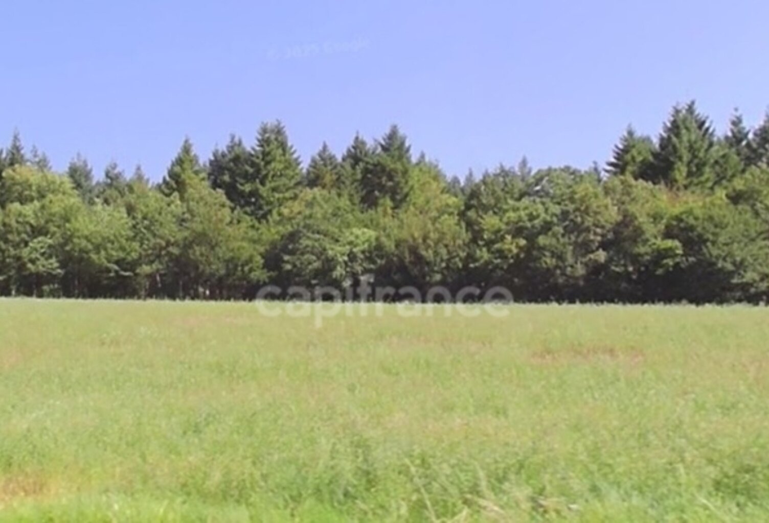 Propriété FORESTIERE GIRY (58) — photo 1