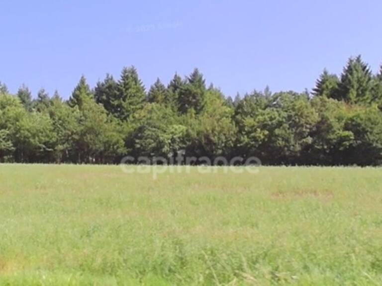 Propriété FORESTIERE GIRY (58) — photo 1