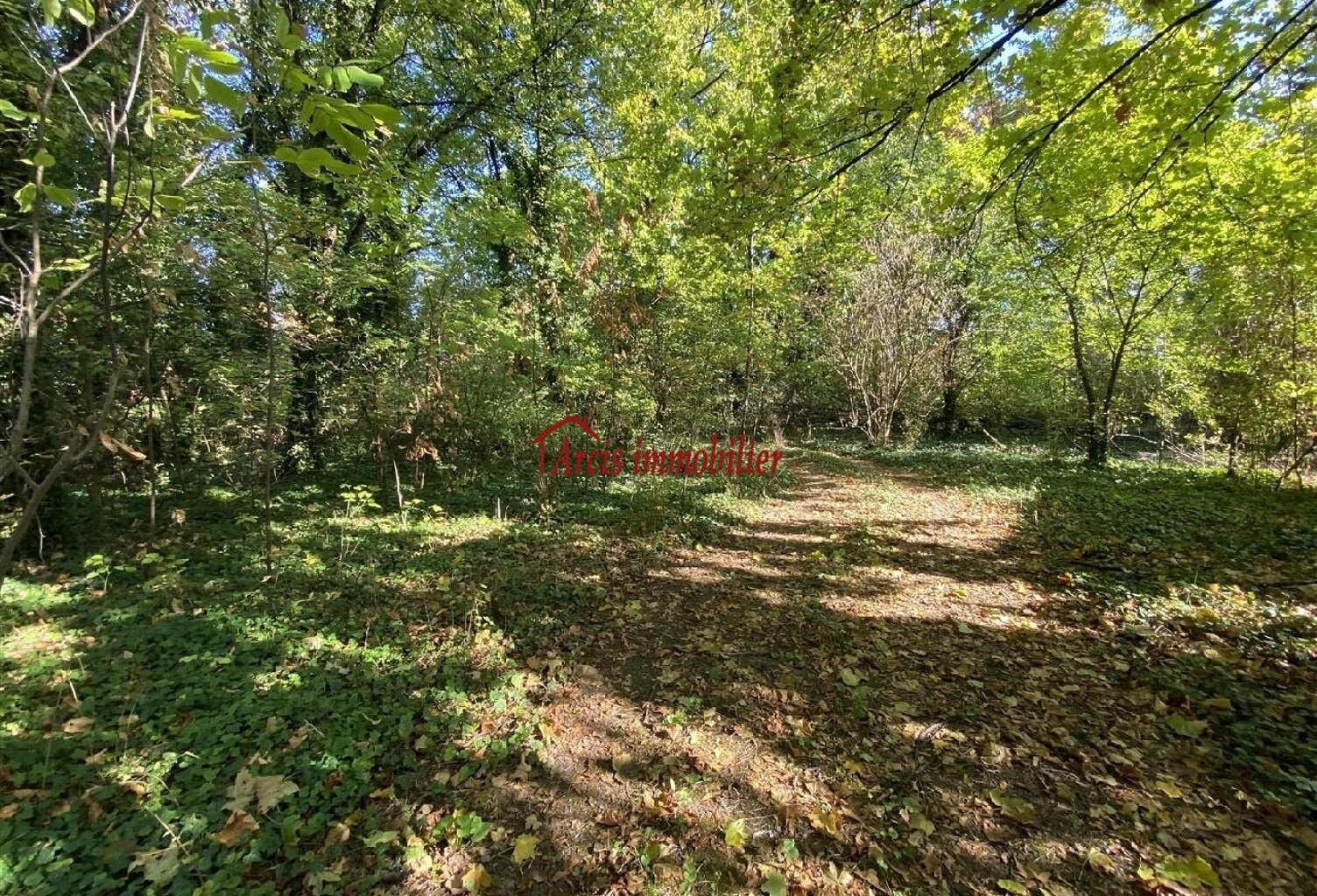 Vente terrain  1555 m² Arcis-sur-Aube (10700) — photo 1