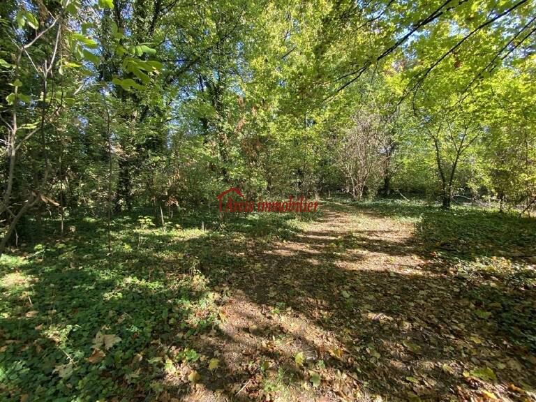 Terrain à construire  1555 m²  — photo 1