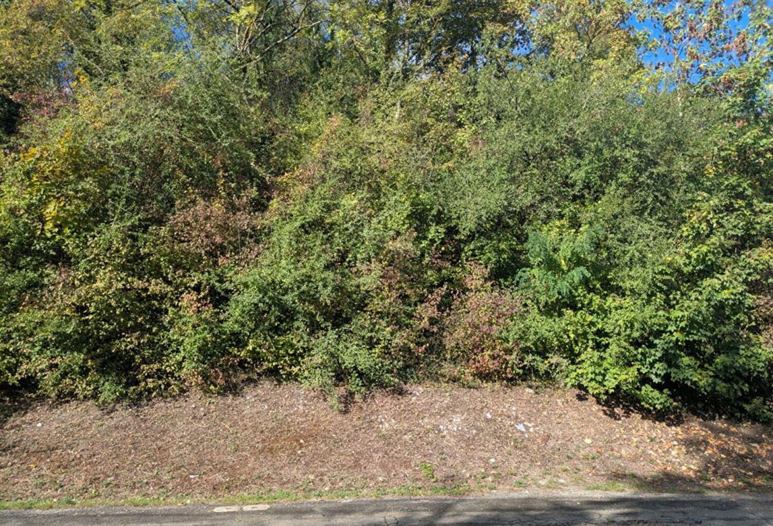 EXCLUSIVITÉ PROPRIÉTÉS-PRIVÉES: Terrain constructible à Mantes-la-Ville — photo 1