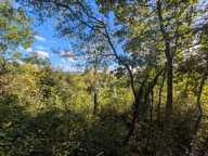 EXCLUSIVITÉ PROPRIÉTÉS-PRIVÉES: Terrain constructible à Mantes-la-Ville — photo 2
