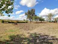 Rare ! Fermette avec dépendances et 7900 m² de terrain environ — photo 2