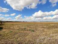 Rare ! Fermette avec dépendances et 7900 m² de terrain environ — photo 3