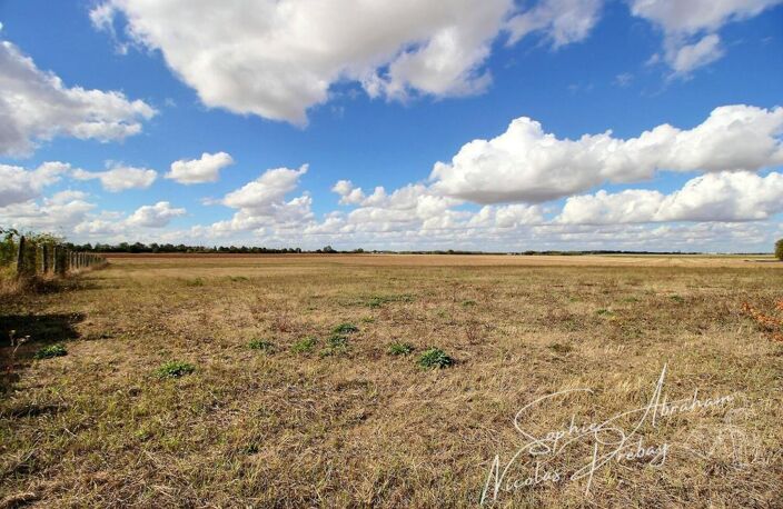 Rare ! Fermette avec dépendances et 7900 m² de terrain environ — photo 3