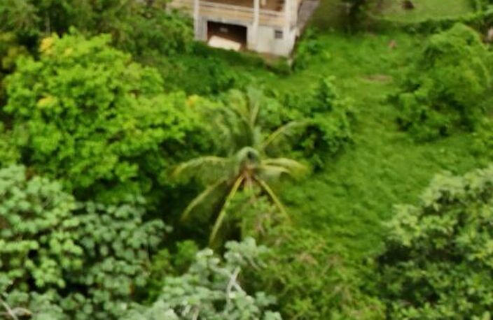 VILLA 4 PIÈCES - 3 CHAMBRES - TERRAIN 2000M² - LE LAMENTIN — photo 3