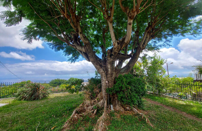 Magnifique villa F4/5 avec vue mer — photo 4