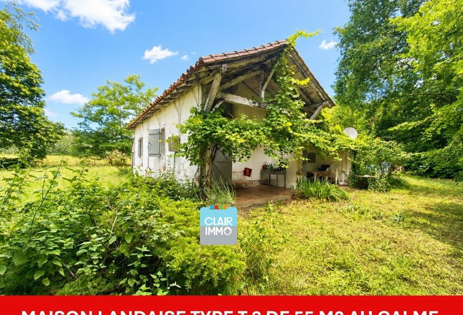 Charmante maison landaise T3 de 55 m²  Écrin de verdure, — photo 1