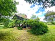 Charmante maison landaise T3 de 55 m²  Écrin de verdure, — photo 4