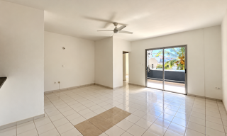Appartement 2 Pièces 61 m² à louer à Saint-Pierre (97410)
