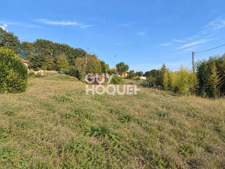 terrain — photo 1