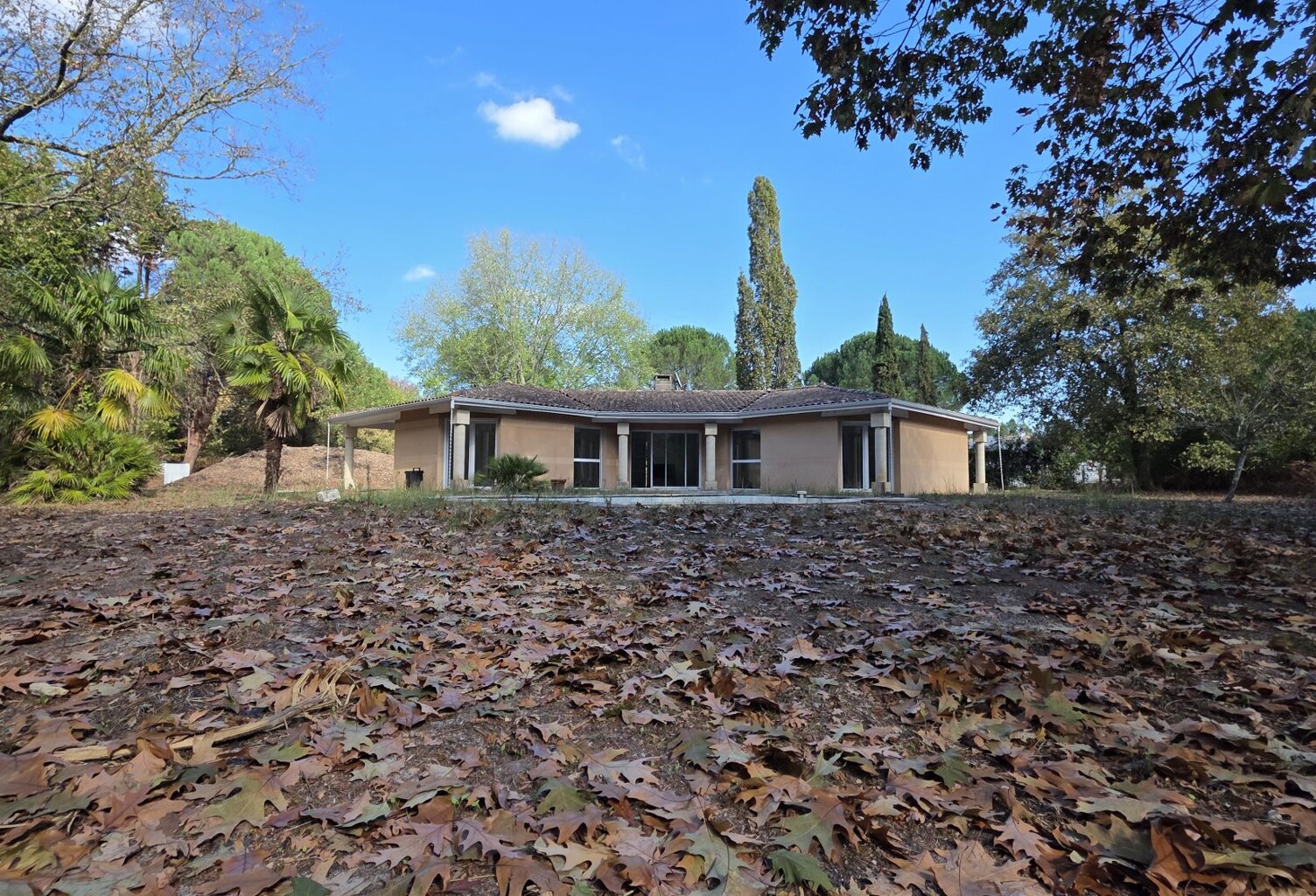 Maison d'architecte de plain-pied avec terrain 1ha — photo 1